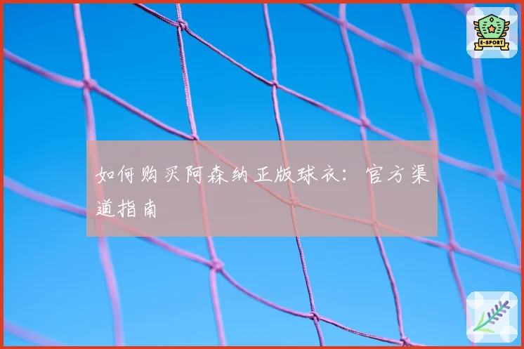如何购买阿森纳正版球衣：官方渠道指南