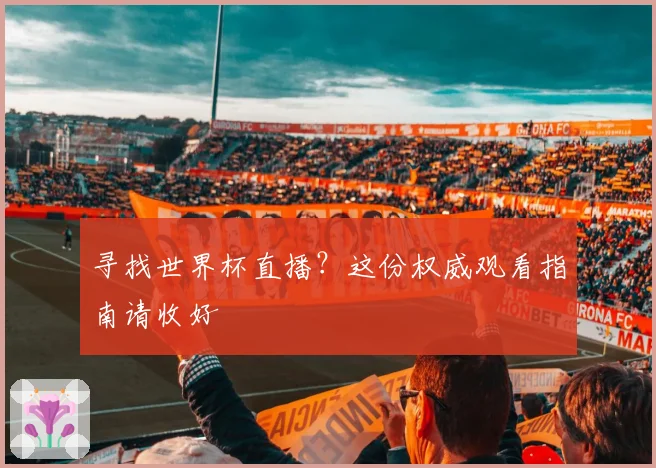 寻找世界杯直播？这份权威观看指南请收好